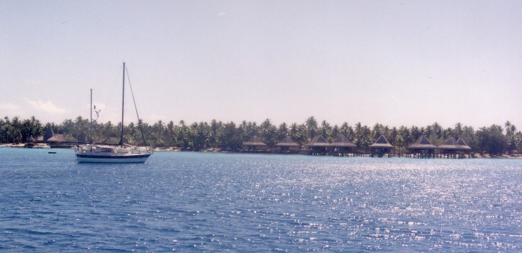 Tere Moana - arrived with a still standing mast © Vincent Bossley